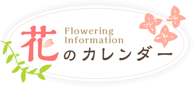 花のカレンダー Flowering Information
