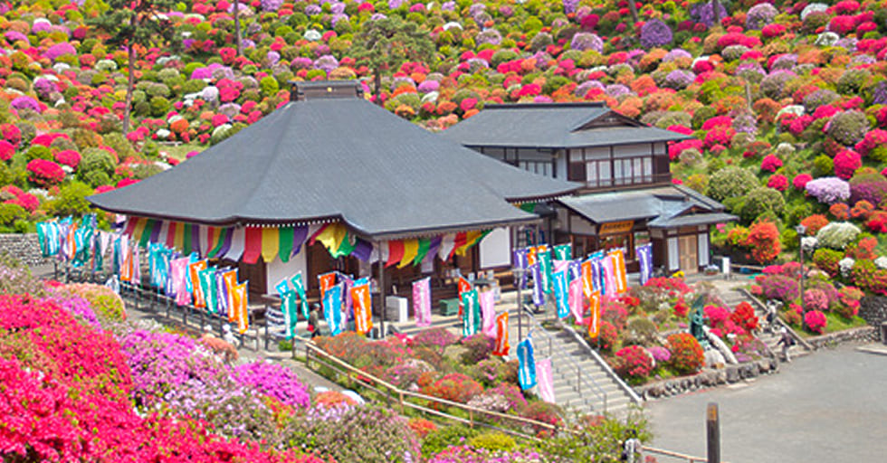 塩船観音寺