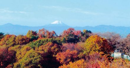 文化の森・六道山公園