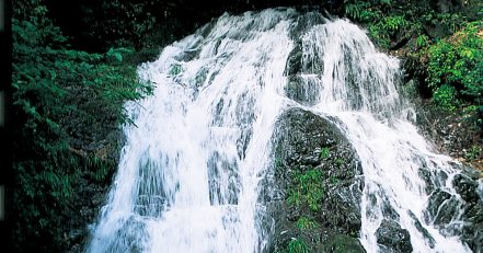 白岩の滝コース