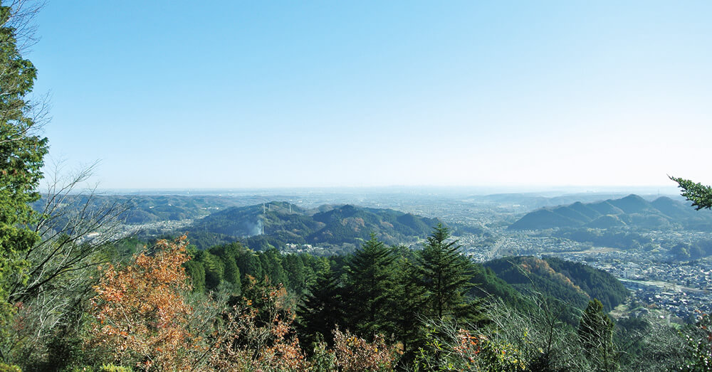 金比羅山