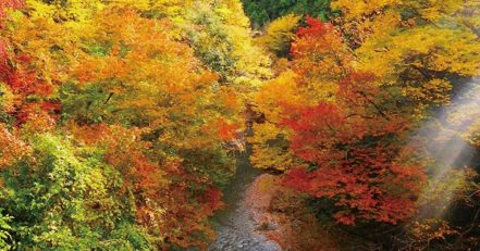 青木平橋