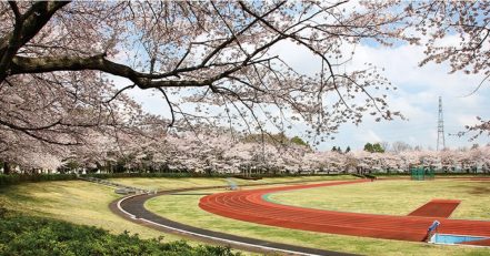 秋留台公園