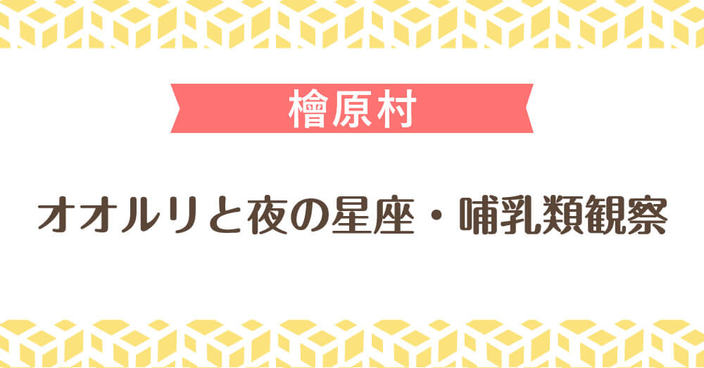 オオルリと夜の星座・哺乳類観察