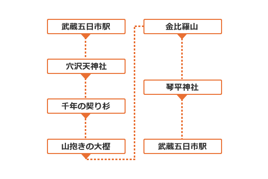 金比羅山と杉・樫の大樹